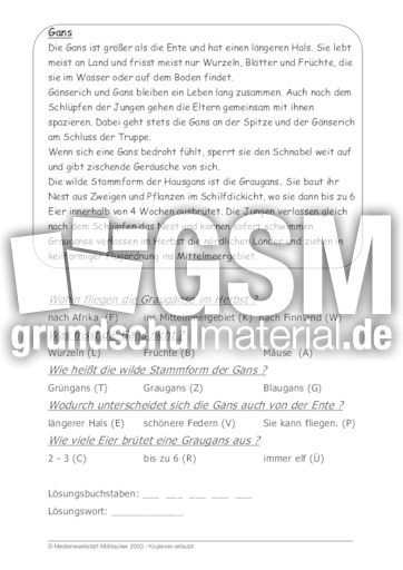 Gans.pdf